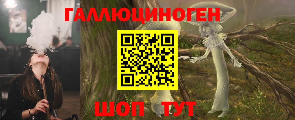 Артём  Галлюциногенные грибы мухоморы  Вход с VPN 